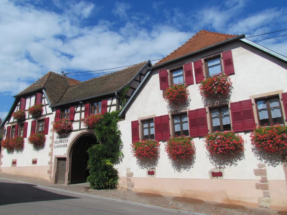 Domaine Allimant-Laugner veinimõis Alsace'is